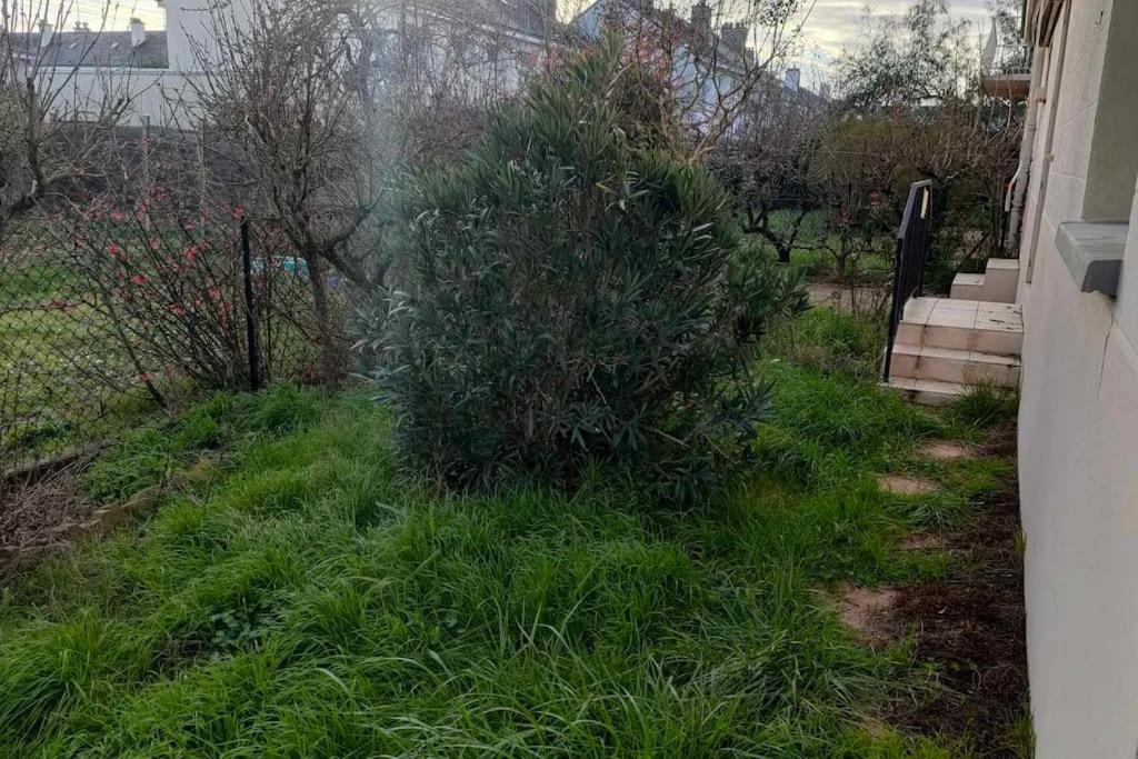 Appartement Cosy 2 Chambres Avec Jardin Les Ponts-de-Cé Esterno foto